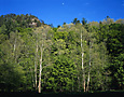 Red River Gorge