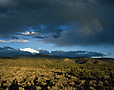 Santa Fe Nat Forest