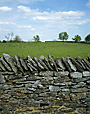 Stone Fence